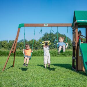 swings and trapeze